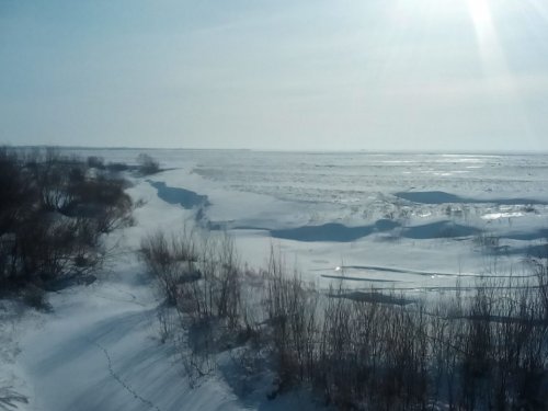 степь