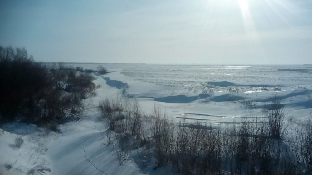 степь