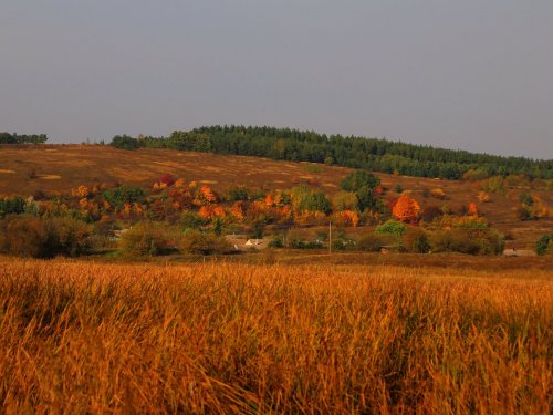 Стою в Белгородской, а вижу Курскую область