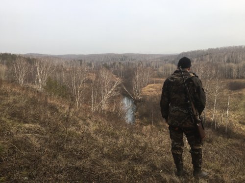 Красоты Тогучинского района