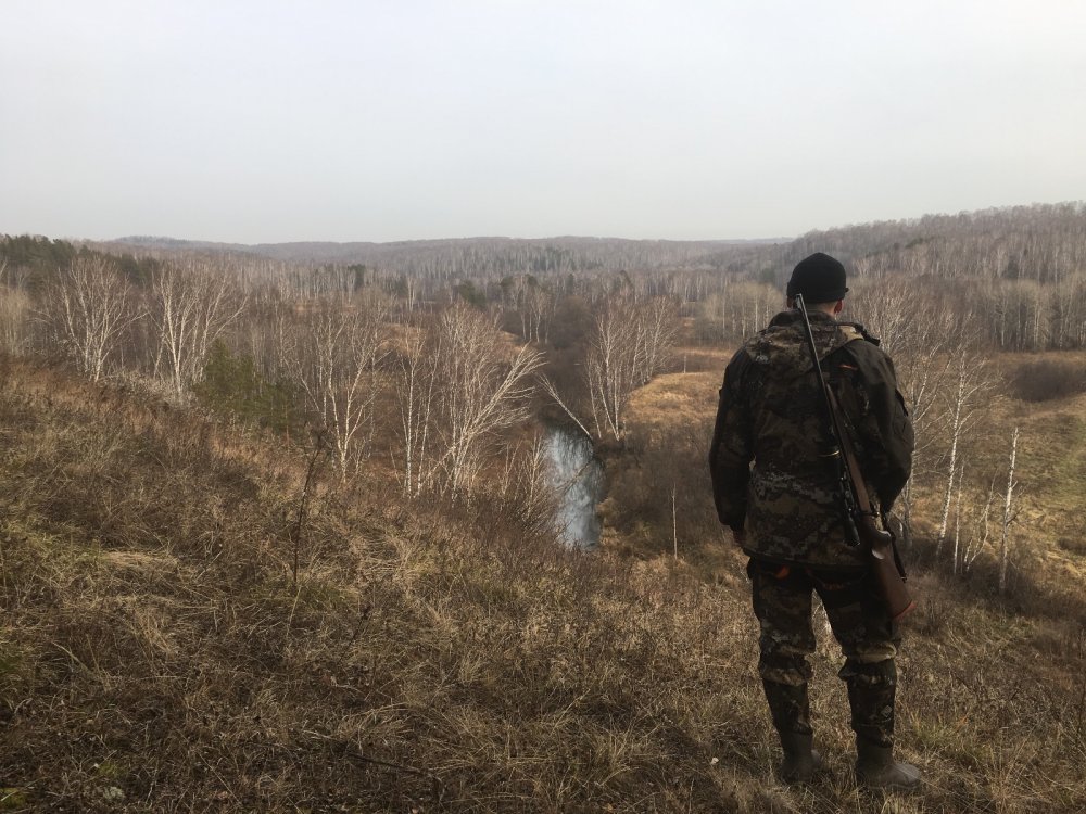 Красоты Тогучинского района