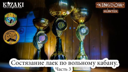 Соревнование лаек по вольному кабану. Часть 3