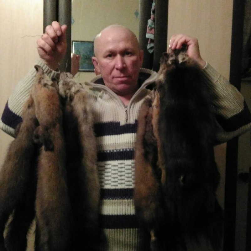 Пушнина