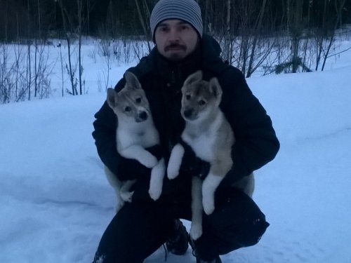 Растем