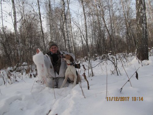 Забавка вл.Корнев В.В. порадовала!!!