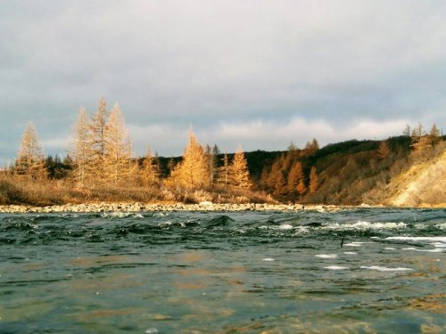 Осень на Тамыре