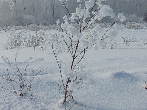 Зимний фейерверк.