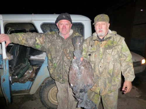 Вот такие у нас глухари.