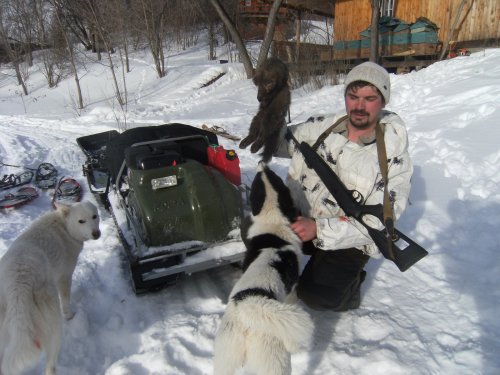 Соболь