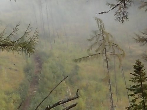 туман  в  сопках
