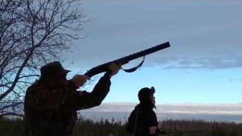 Стрельба по тарелкам