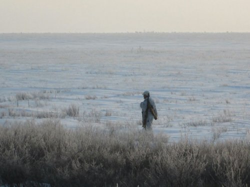 Прекрасно пустынна зимняя степь...