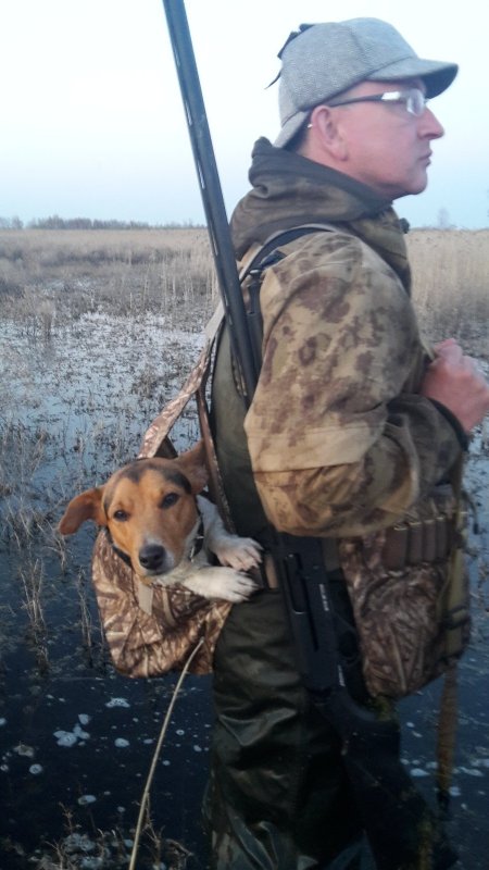 Высоко сижу, далеко гляжу
