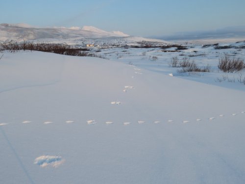 25 февраля