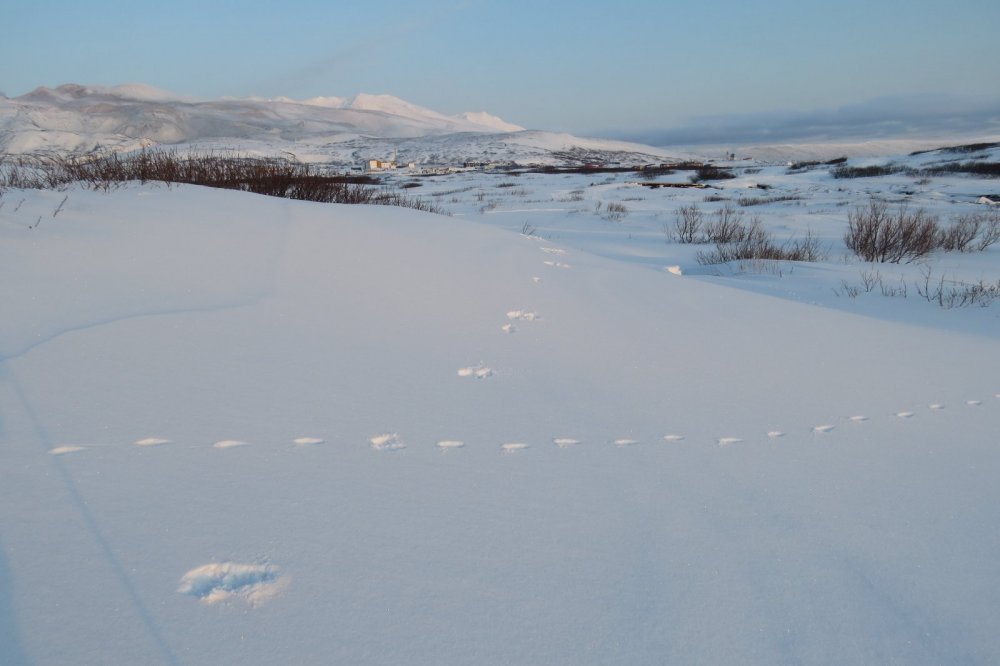 25 февраля
