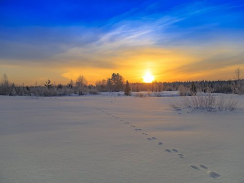 на рассвете
