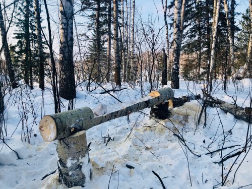 Солонец 2018