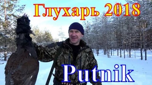 Глухарь в конце сезона