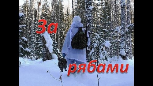 Охота на рябчика в -25.
