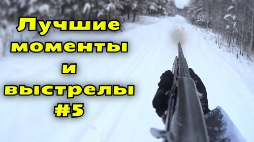 Вот это прикол, пять выстрелов по зайцу, ни одного попадания.