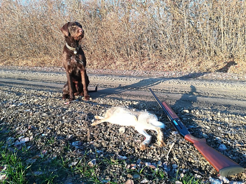 Помощник