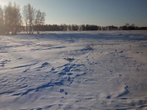 Закрыл путевку)