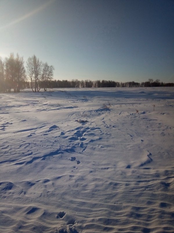 Закрыл путевку)