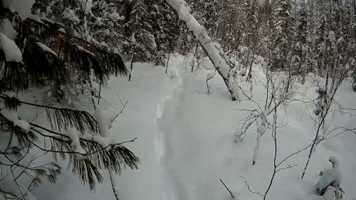 Тайга  Закрытие зимнего сезона 2018г