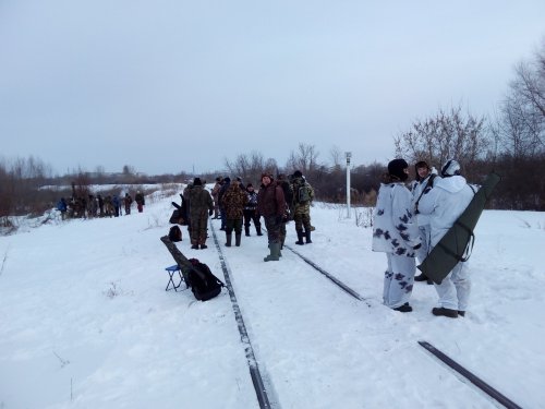 Мероприятие по урегулированию численности ворон.