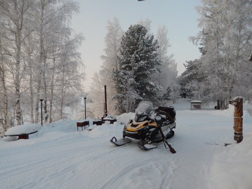 морозное утро