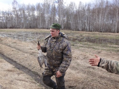 в прошлом году слишком много летало шилохвости)