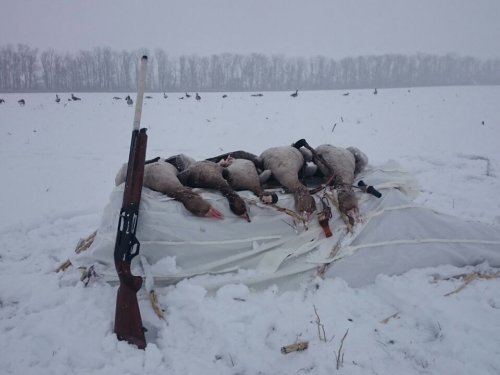 Декабрь славный