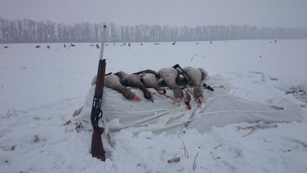 Декабрь славный