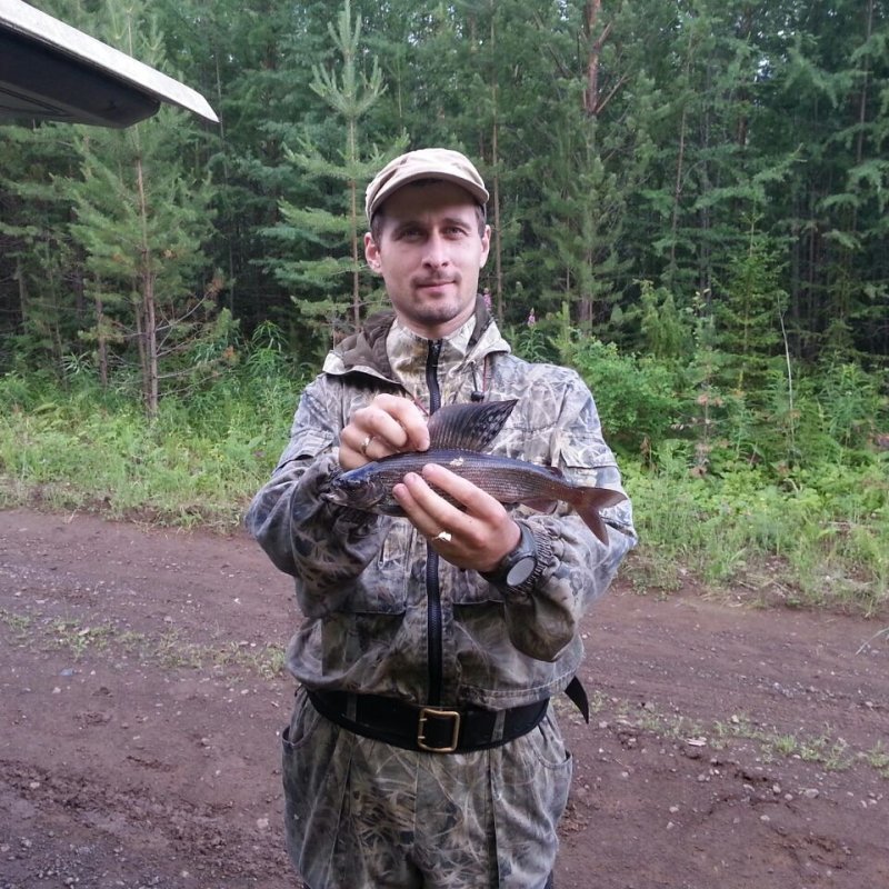 Хариус