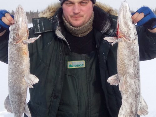 Начало клева на 23.02.18