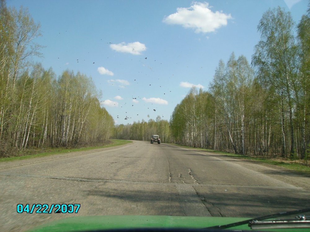 дорога на охоту))