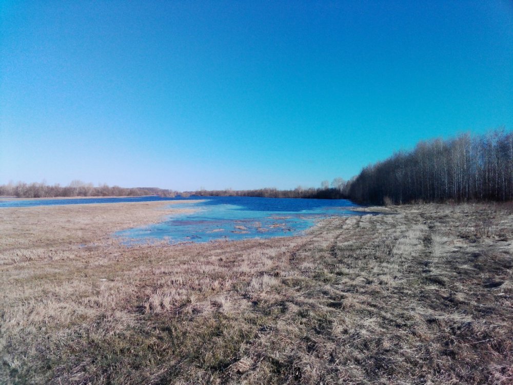 Разливчик.
