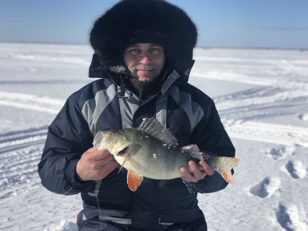 Тюменское заболотье