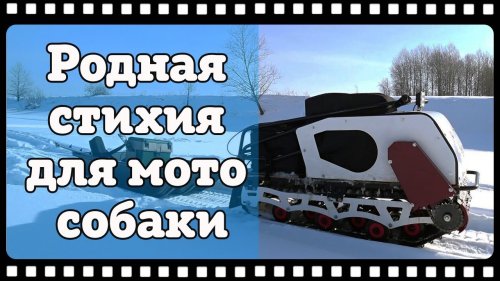 Вот! Родная стихия для мотособаки. Для чего нужен мотобуксировщик БТС 500 и как он едет. Ответ в этом видео.