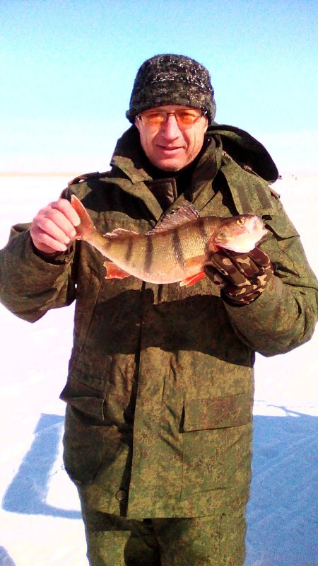 Порыбачили оз.Чаны.
