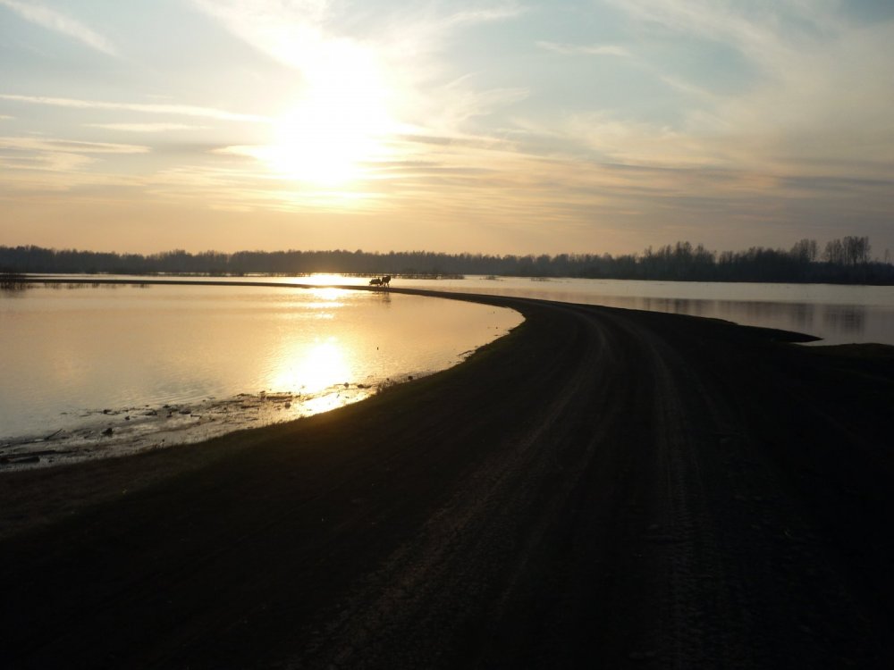 Весенняя река Тартас, море...........