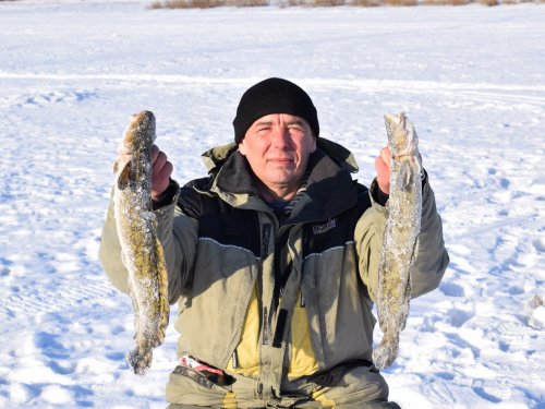 На жарёху к дню рождения!