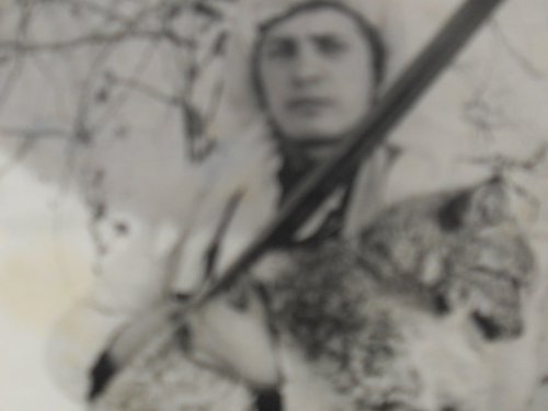 Дикая "кошка".