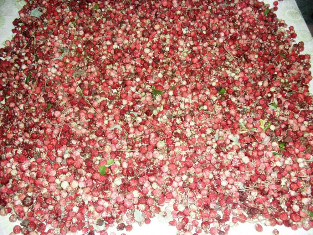 Вкус сладкого лета.................