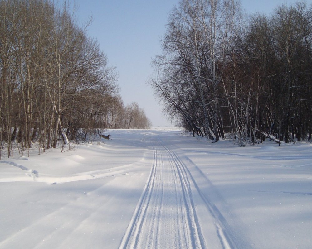 Косулька