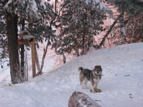 Берта