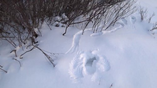 Финал закрытие зимнего сезона 2018г