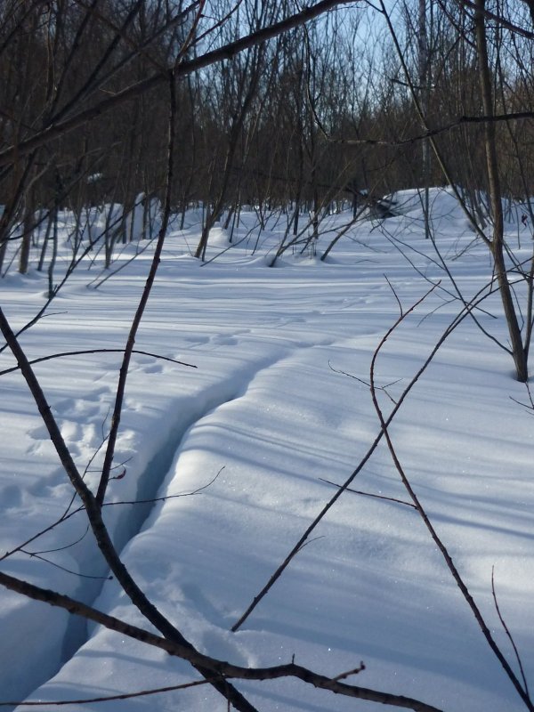 По ручью...........