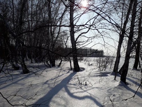 Весна не за горами...