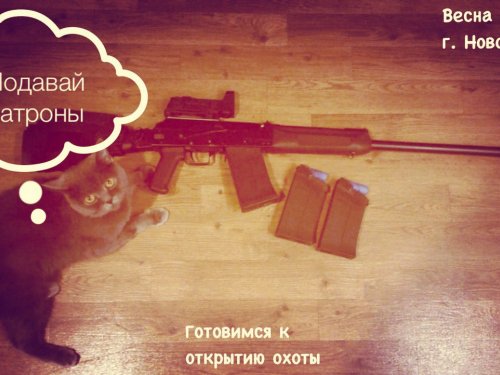 Хозяин "Подавай патроны" которые снарядил.